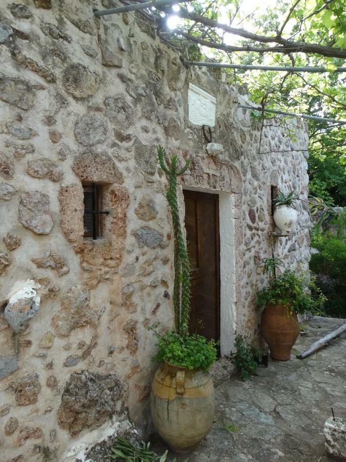 Apartmán Nikos House Káto Zákros Exteriér fotografie